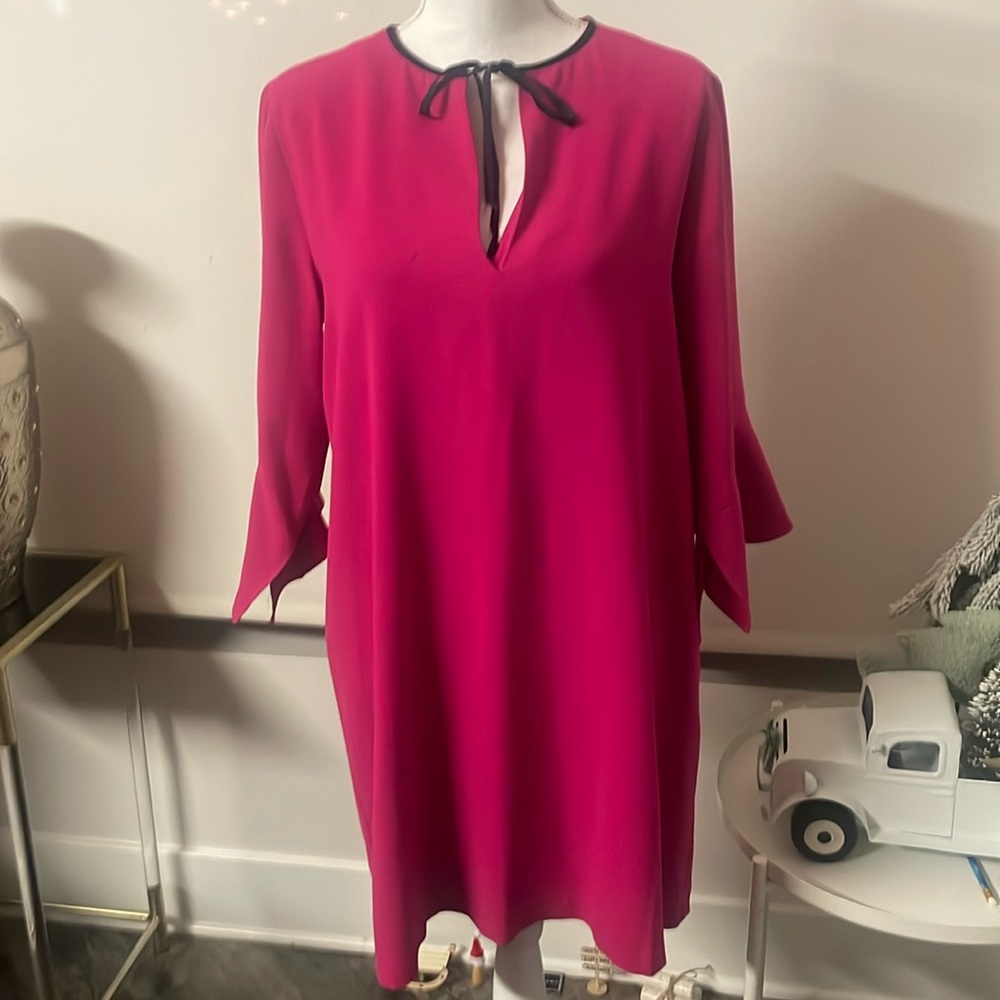 Zara Basic Neon Pink with Long Bell Sleeves